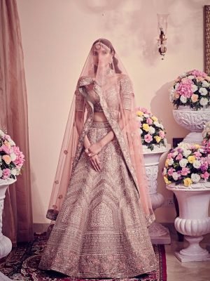 Sage Green Embroidery Lehenga Set