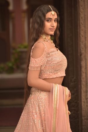 Pink Organza Mirror Embellished Lehenga Set