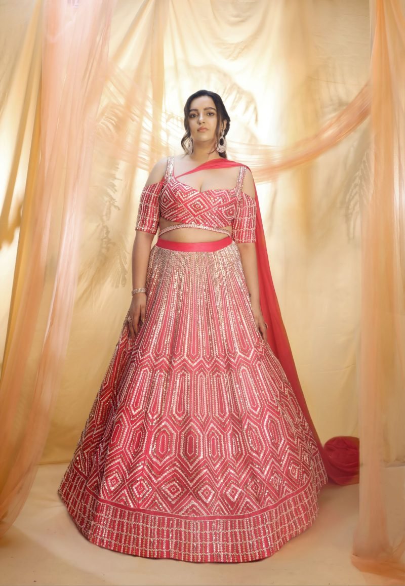 Red Hand Embroidered Lehenga Set