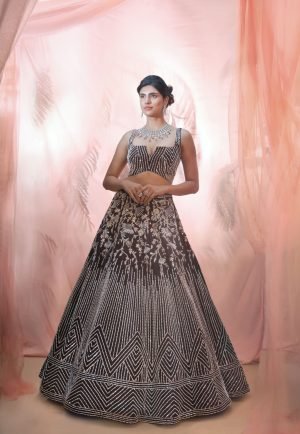 Old Wine Jaal Hand Embroidered Lehenga Set