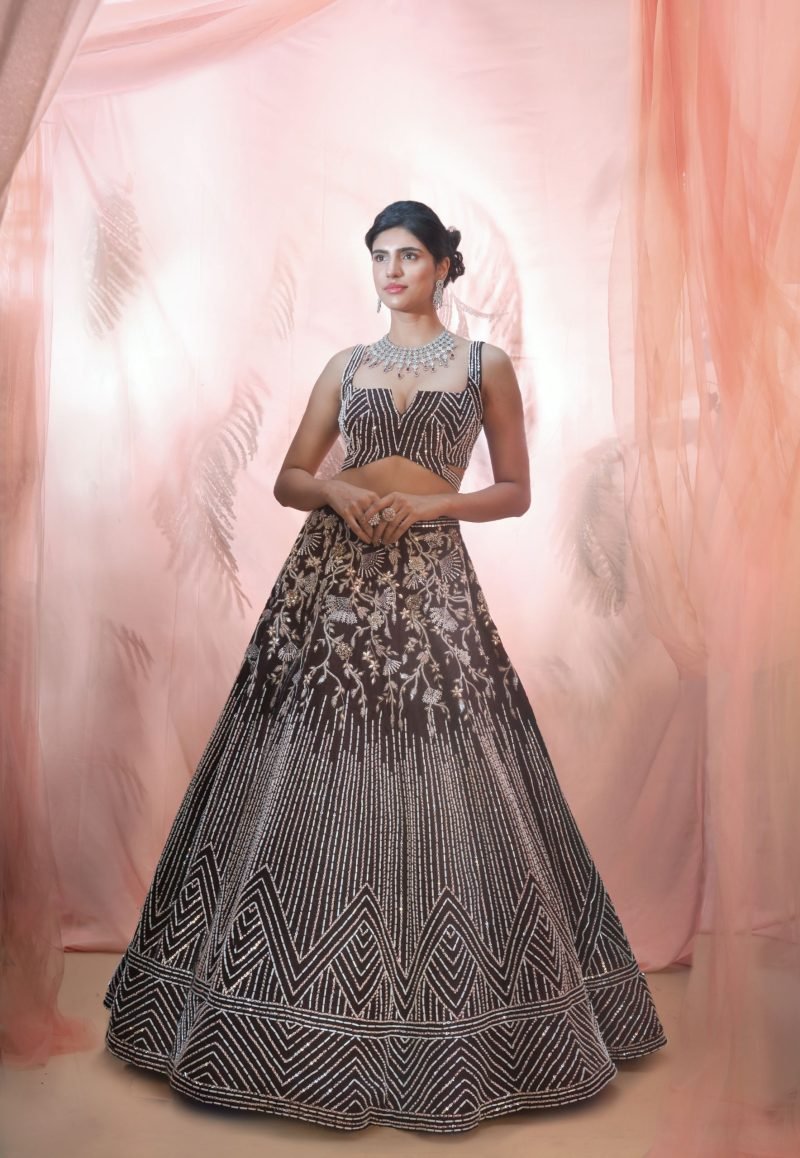 Old Wine Jaal Hand Embroidered Lehenga Set