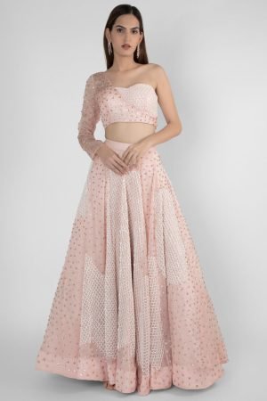 Peach Organza One Shoulder Crop Top And Lehenga Set