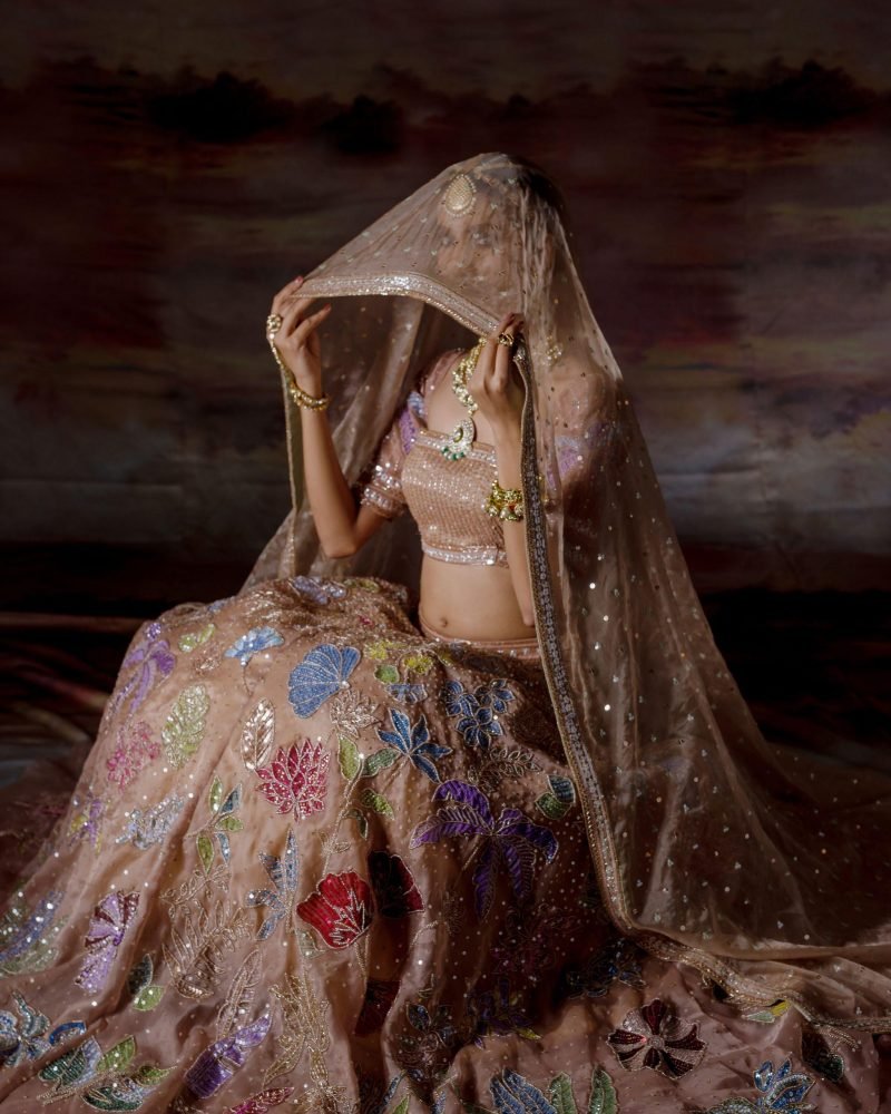 Beige Organza Embroidered Lehenga Set