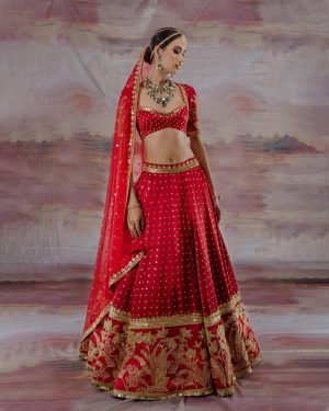 Red Net & Gajji Silk Embroidered Lehenga Set