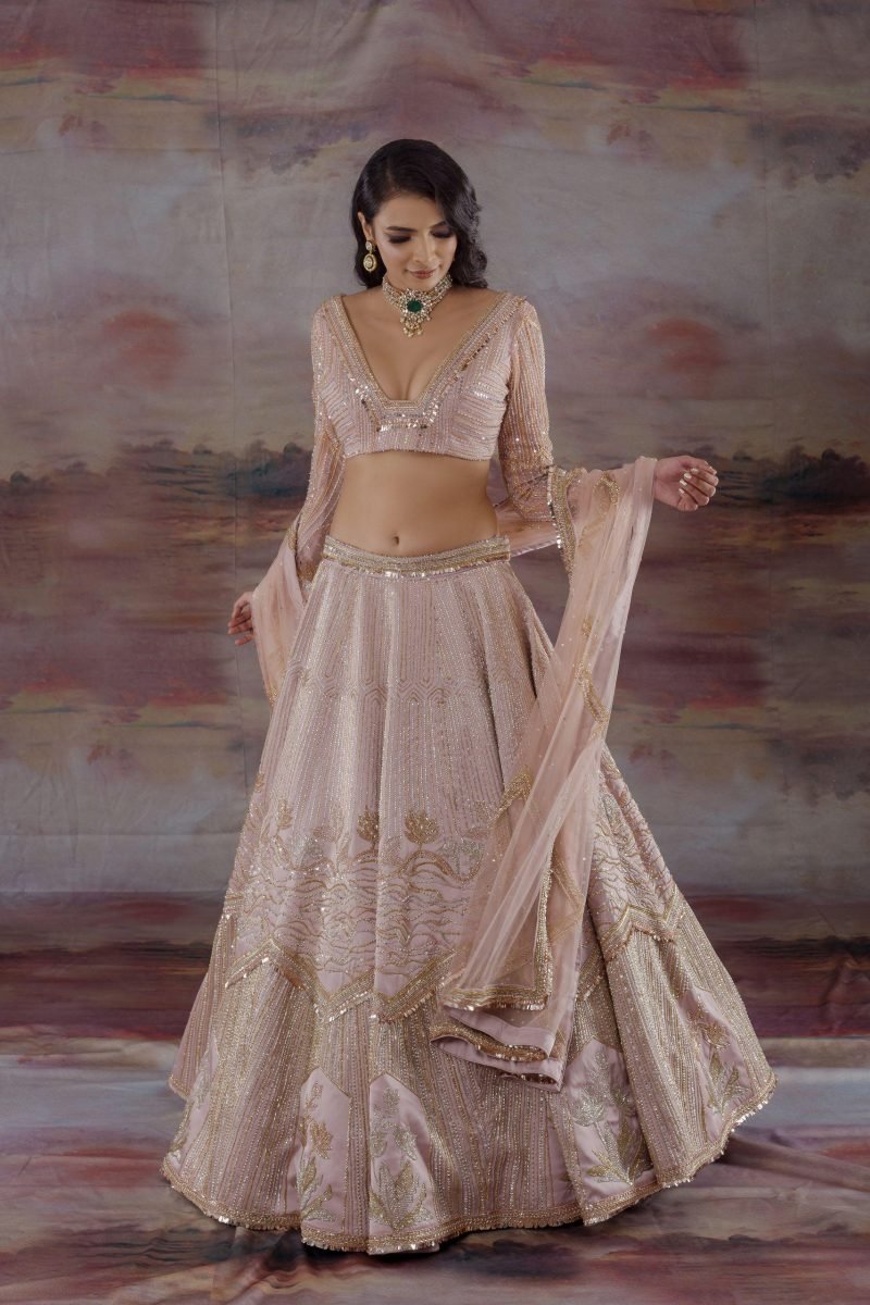Dusty Pink Embroidered Lehenga Set - Image 4
