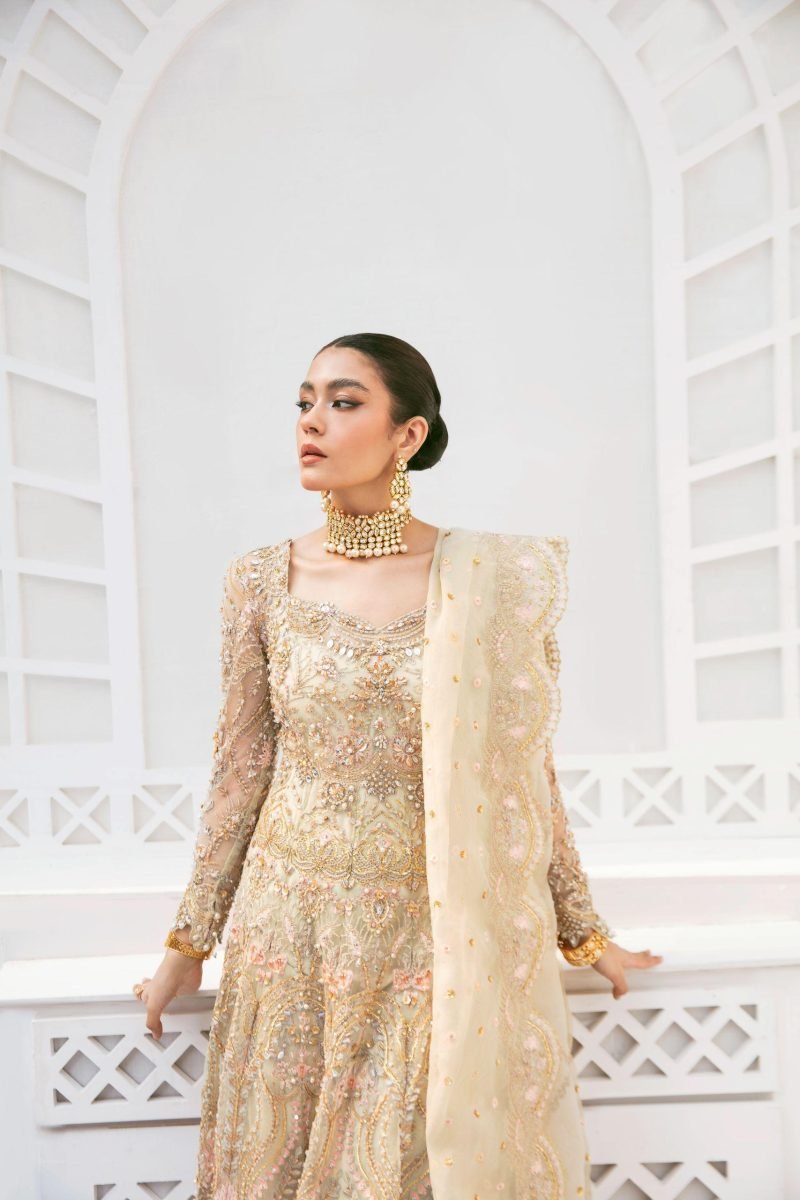 Beige Color Heavy Embroidered Work Dress - Image 2