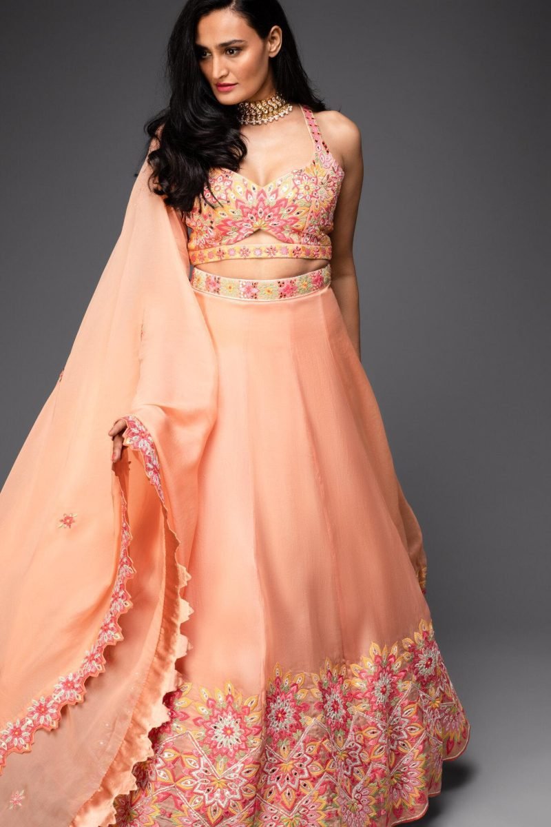 Peach Embroidered Lehenga Choli And Dupatta - Image 3