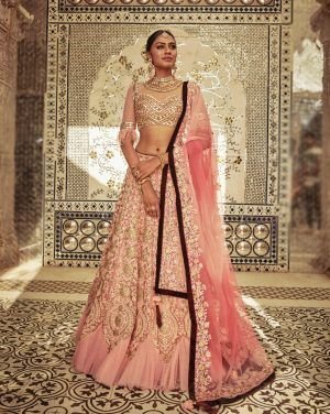 Powdered Pink Color Begum Lehenga