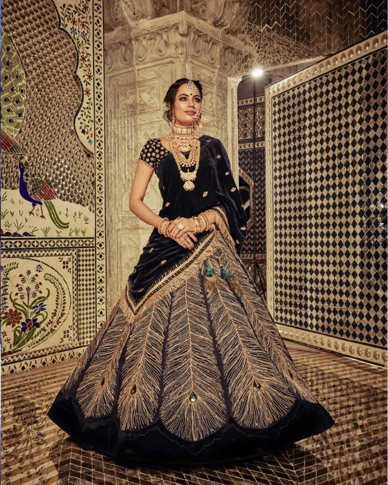 The Midnight Blue Color Peacock Lehenga