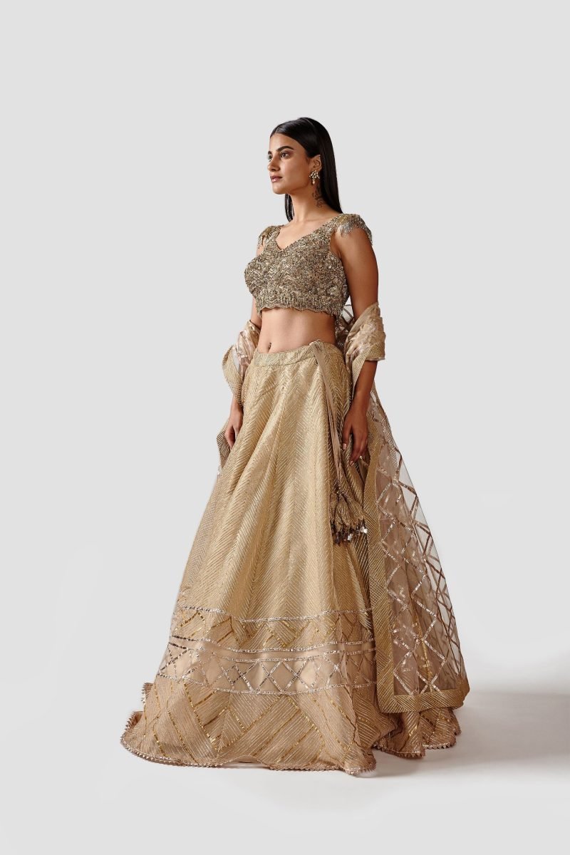 Light Gold and Antique Color Net Lehenga