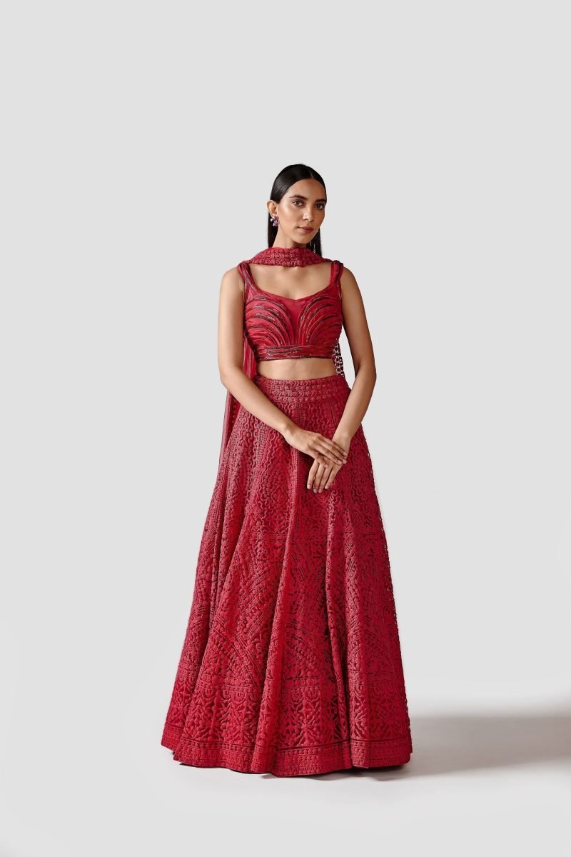 Beautiful Red Color Net Lehenga Set With Crepe Blouse