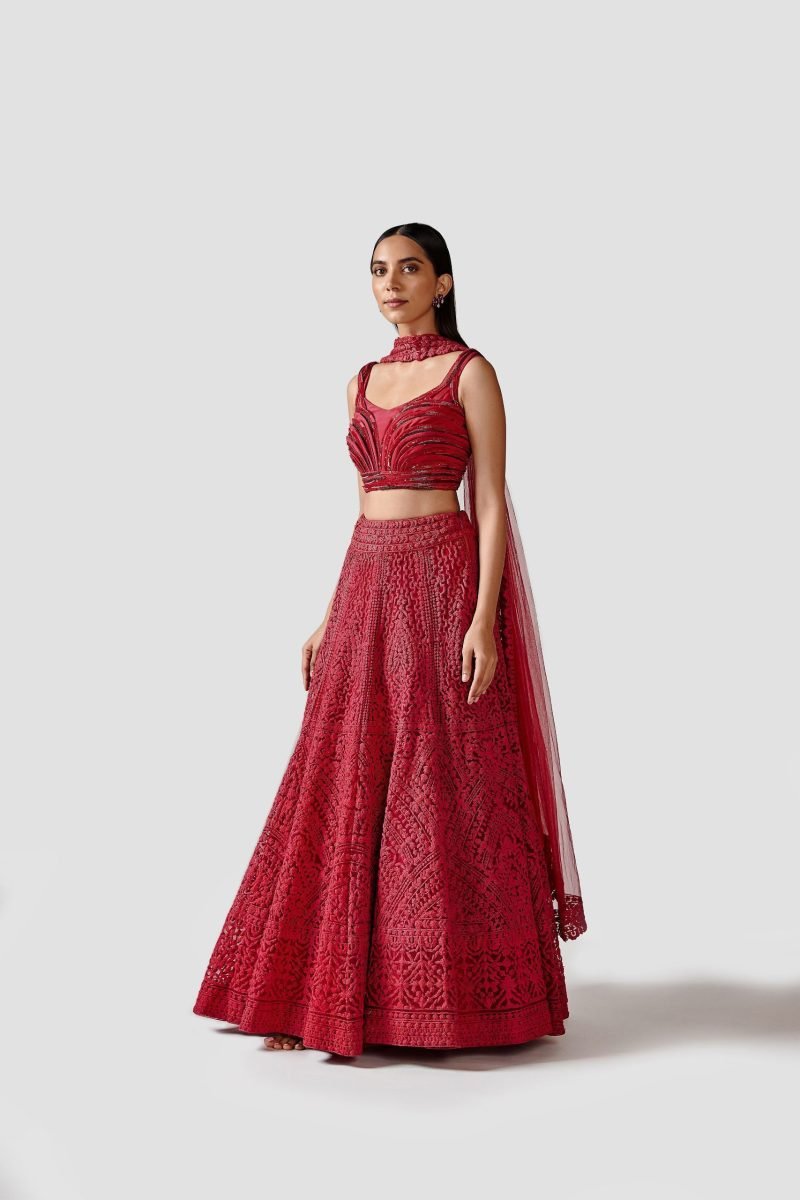 Beautiful Red Color Net Lehenga Set With Crepe Blouse - Image 2