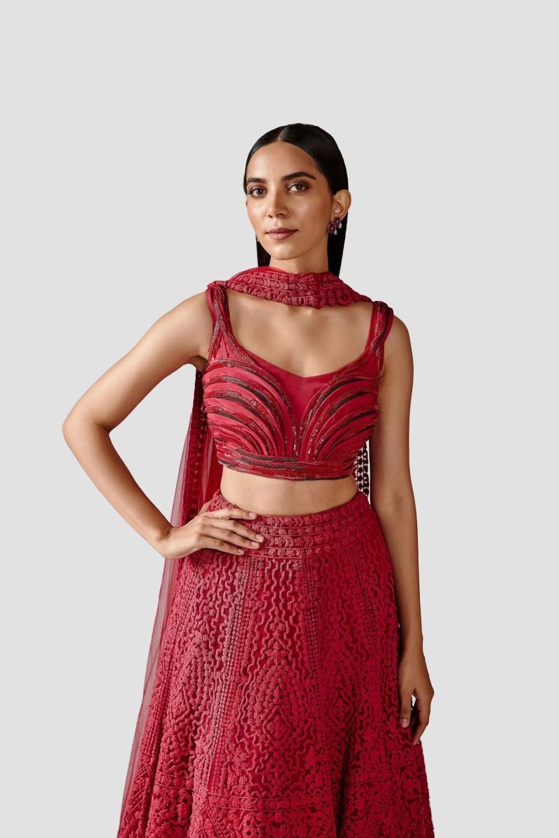 Beautiful Red Color Net Lehenga Set With Crepe Blouse - Image 3