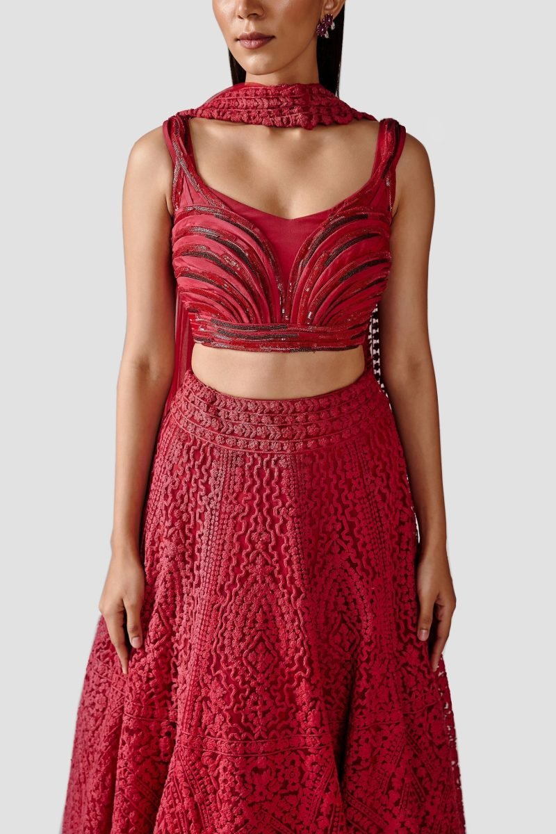 Beautiful Red Color Net Lehenga Set With Crepe Blouse - Image 4
