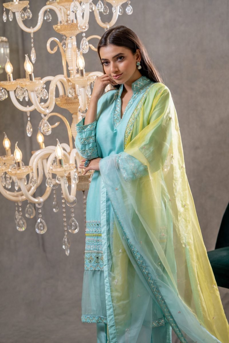 Blue Organza Tara Embroidered Kurta Set - Image 3
