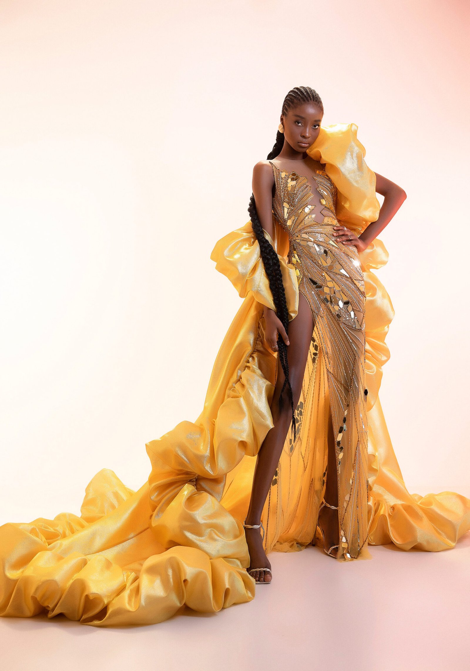 Golden Sheer with Tulle , Sequins and Bead Work Evening Butterfly Gown